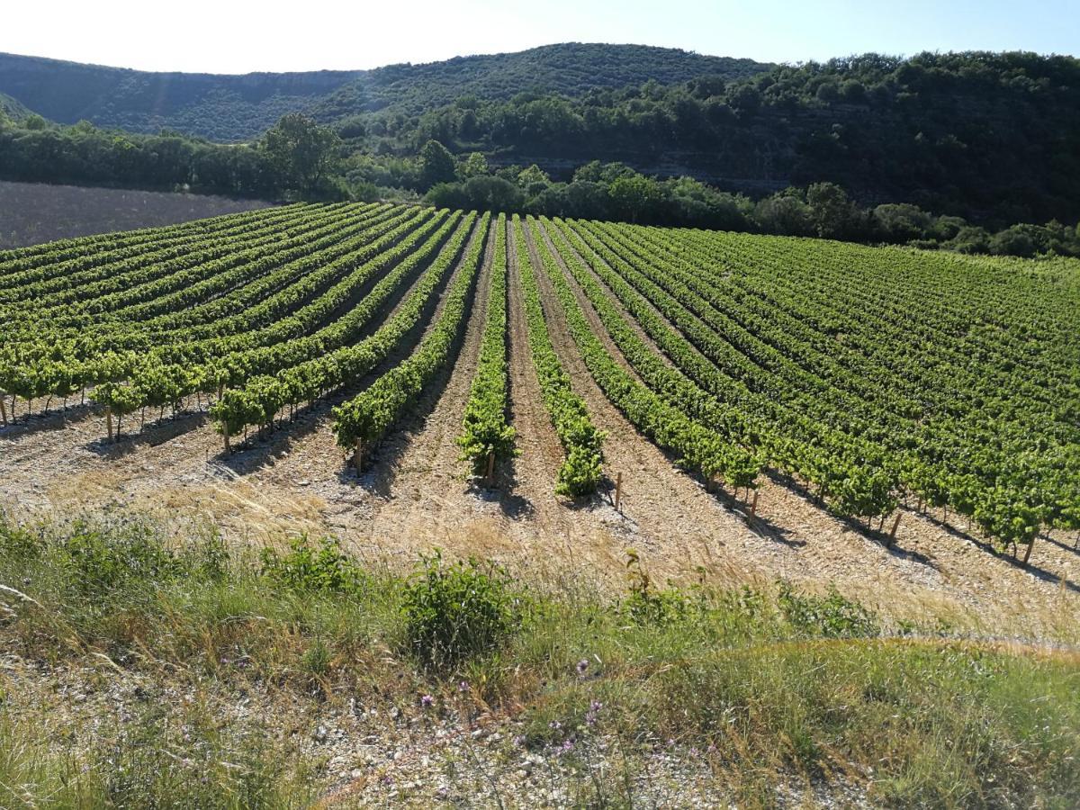Montloubier Villeneuve-de-Berg Exterior photo